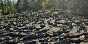 kehotietoisuus ja sisäinen kasvu