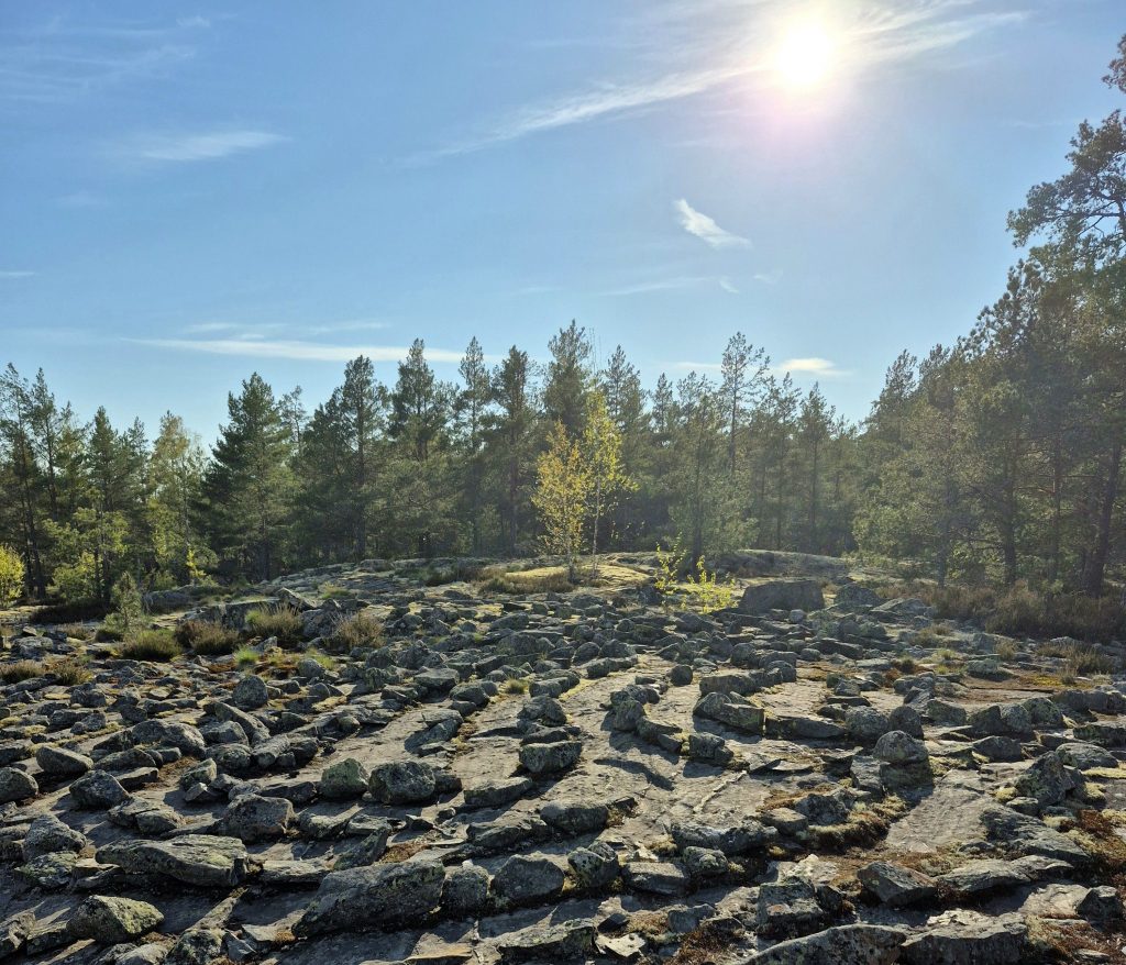 kehotietoisuus ja sisäinen kasvu